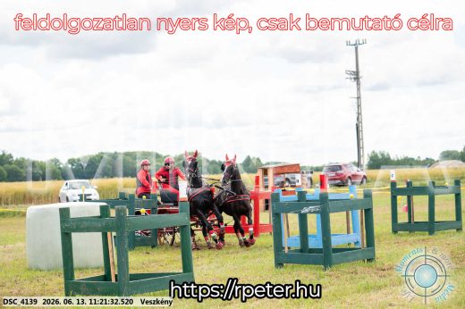 Mintakép 20260613-384