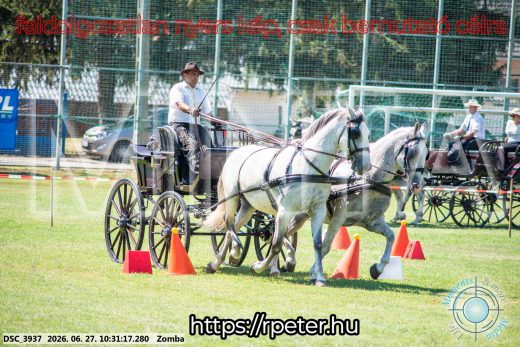 Mintakép 20260627-771