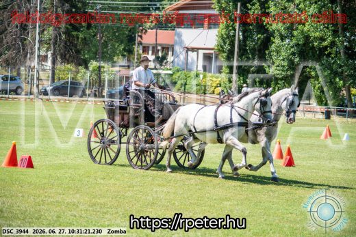 Mintakép 20260627-772