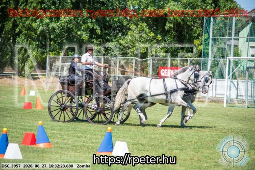 Mintakép 20260627-779
