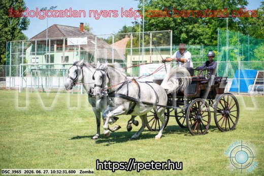 Mintakép 20260627-783