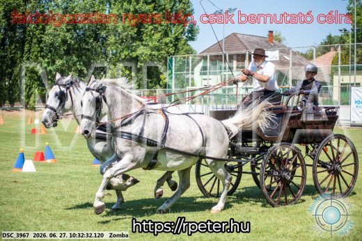Mintakép 20260627-785
