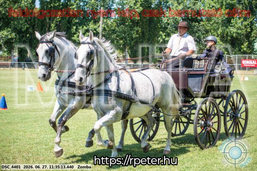 Mintakép 20260627-789
