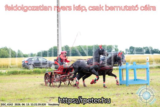 Mintakép 20260613-387