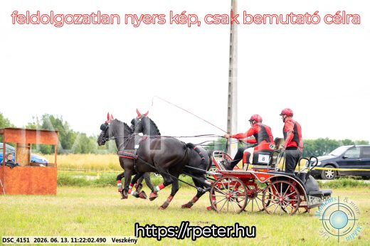 Mintakép 20260613-394