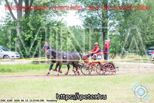 Mintakép 20260613-398