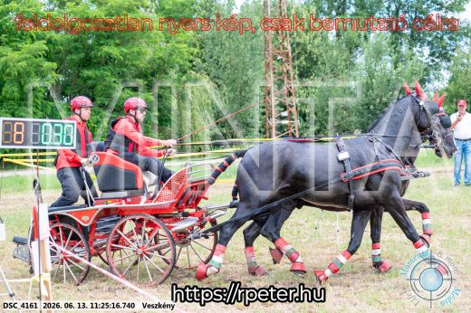 Mintakép 20260613-399