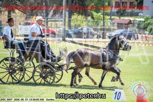 Mintakép 20260627-935