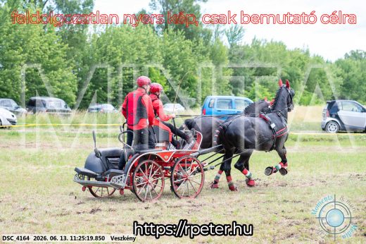 Mintakép 20260613-402