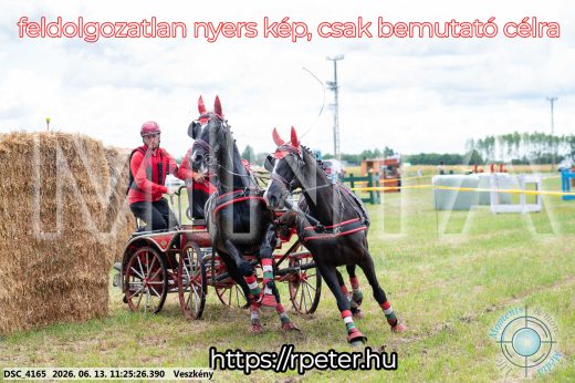 Mintakép 20260613-403