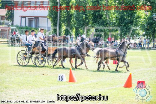 Mintakép 20260627-995