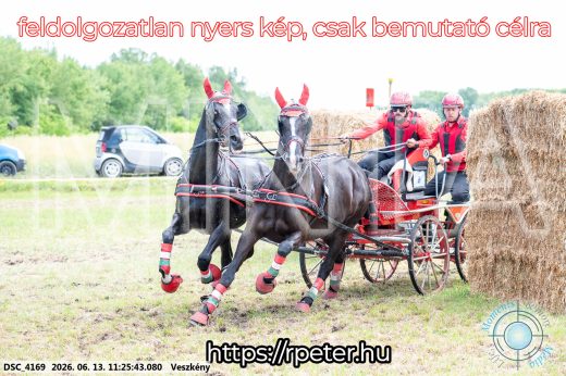 Mintakép 20260613-407