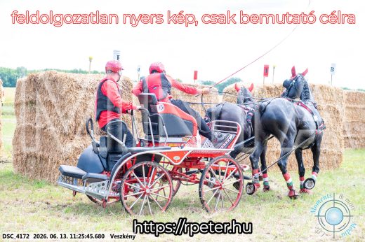 Mintakép 20260613-410