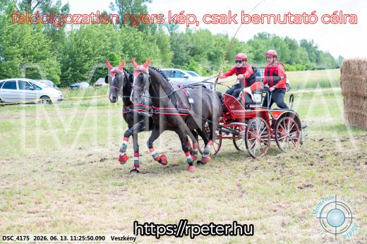 Mintakép 20260613-413