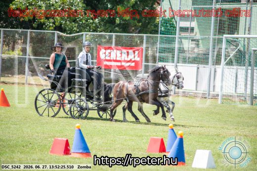 Mintakép 20260627-1063