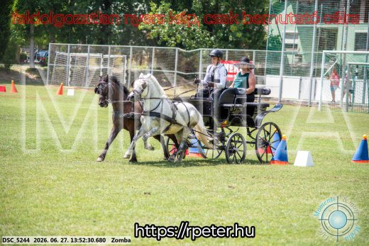 Mintakép 20260627-1065