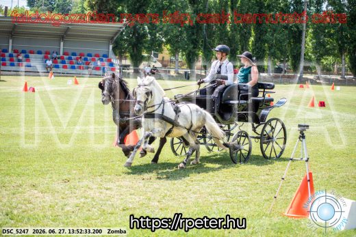 Mintakép 20260627-1068