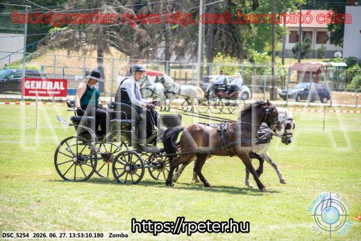 Mintakép 20260627-1072