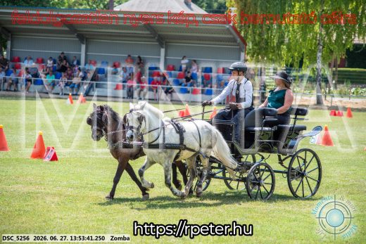 Mintakép 20260627-1074