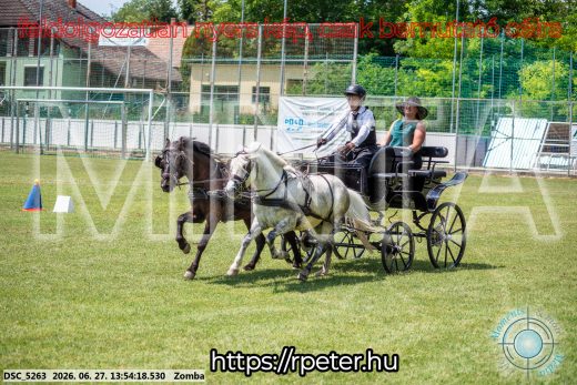 Mintakép 20260627-1077