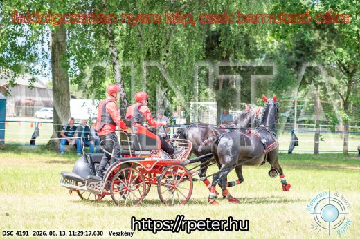 Mintakép 20260613-419
