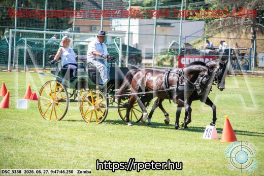 Mintakép 20260627-1131