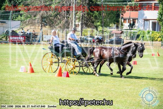 Mintakép 20260627-1133