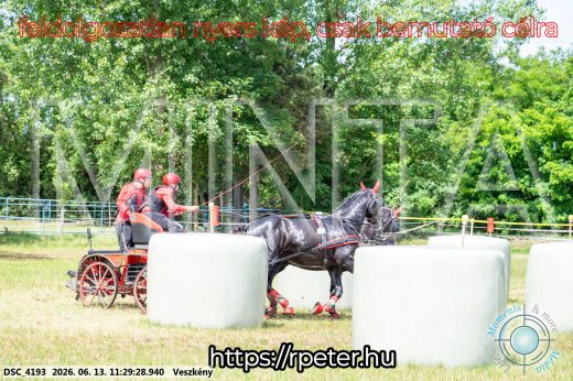 Mintakép 20260613-421