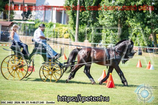 Mintakép 20260627-1141