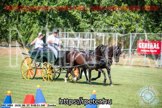 Mintakép 20260627-1143