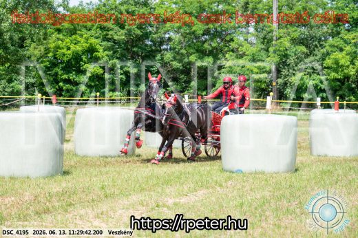 Mintakép 20260613-423