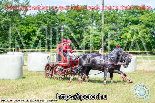 Mintakép 20260613-424