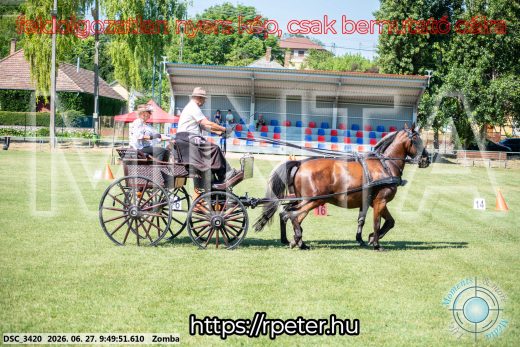 Mintakép 20260627-1174