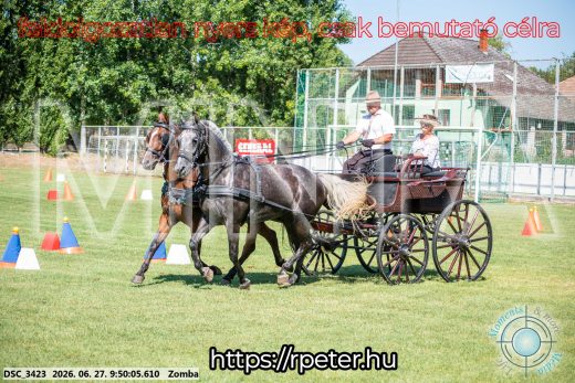 Mintakép 20260627-1175