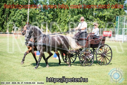 Mintakép 20260627-1177