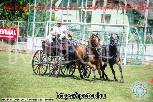 Mintakép 20260627-1183