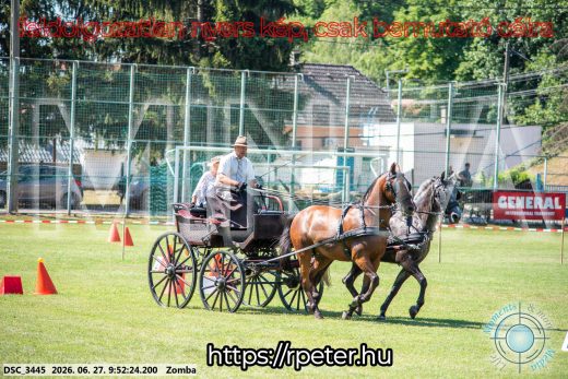 Mintakép 20260627-1186