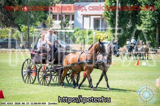 Mintakép 20260627-1197