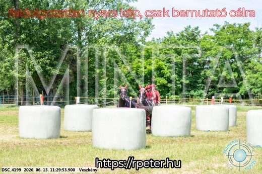 Mintakép 20260613-427