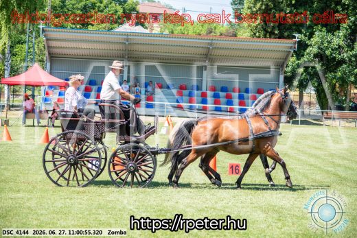 Mintakép 20260627-804
