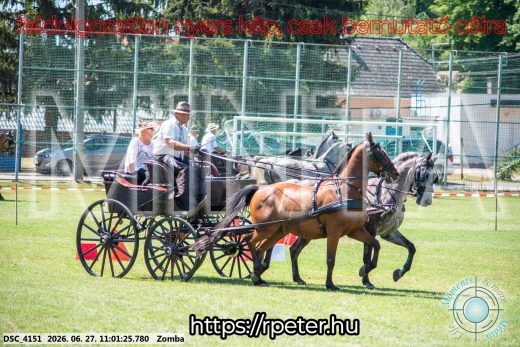 Mintakép 20260627-807