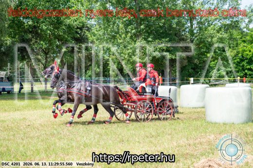 Mintakép 20260613-428