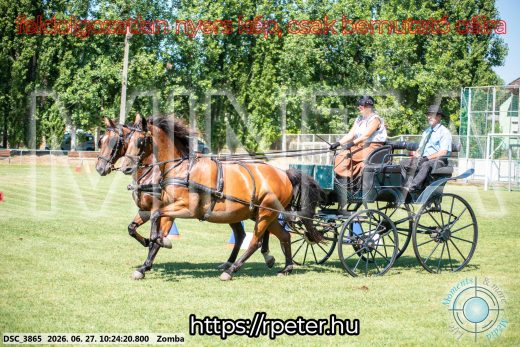 Mintakép 20260627-817