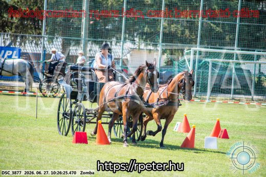 Mintakép 20260627-822