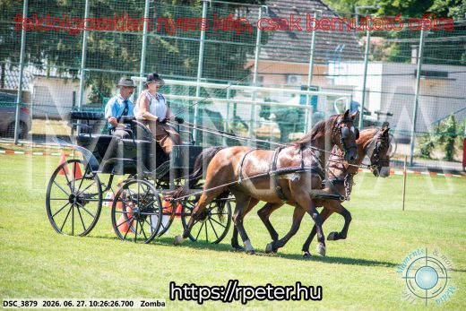 Mintakép 20260627-823