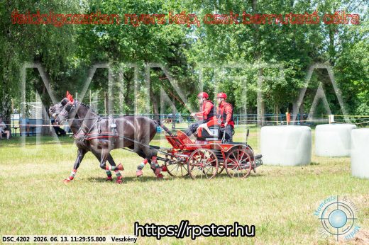 Mintakép 20260613-429