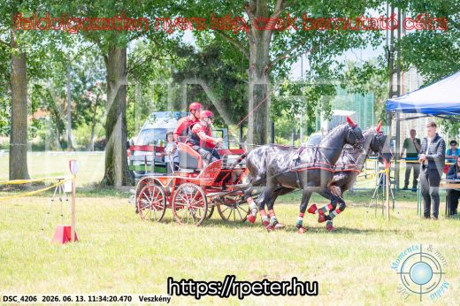 Mintakép 20260613-432