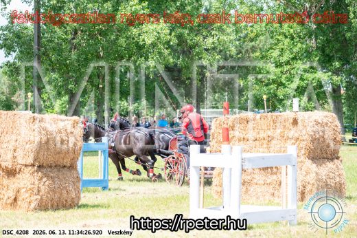 Mintakép 20260613-435