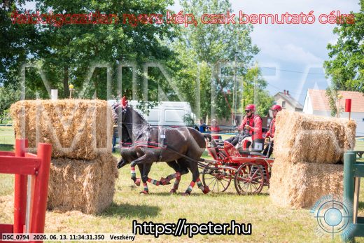 Mintakép 20260613-436
