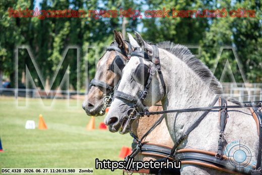 Mintakép 20260627-1234